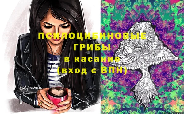 apvp Абинск